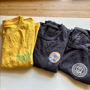 Pura Vida Cropped Tees  - Set of 3